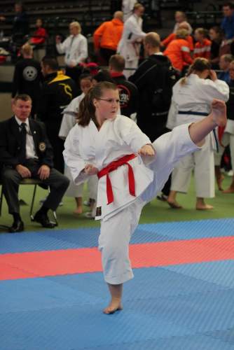 banzai 2013-0592.JPG --- erstellt mit toms-galerie V1.3 - www.tomshaus.de